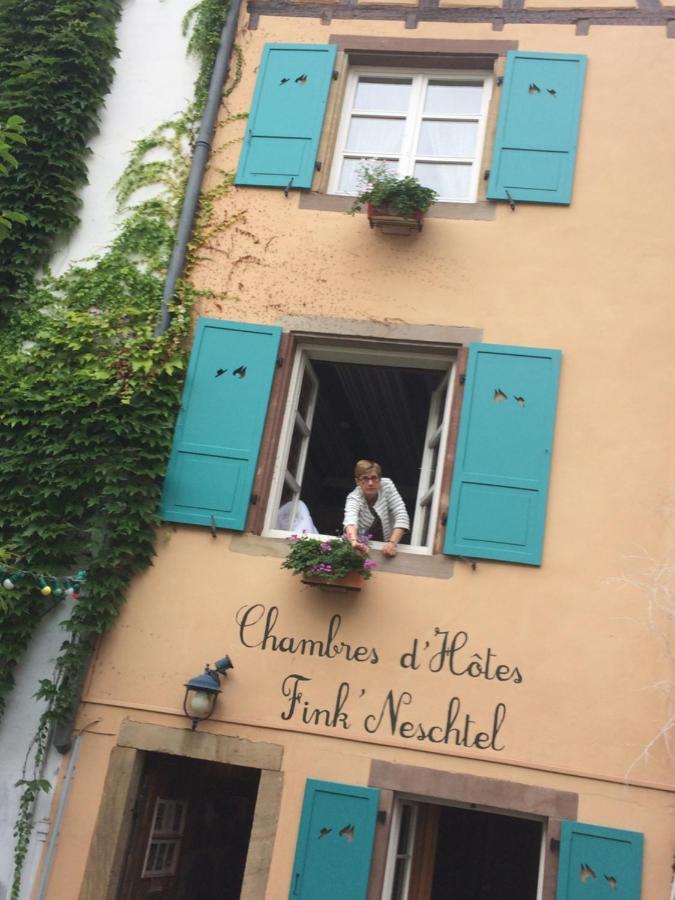 Fink'Neschtel - Maison D'Hotes Estrasburgo Exterior foto